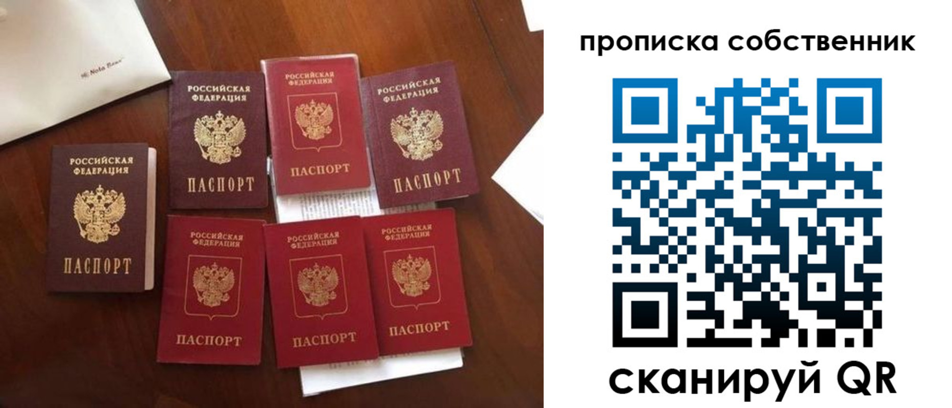 прописка для школы в Ростове
